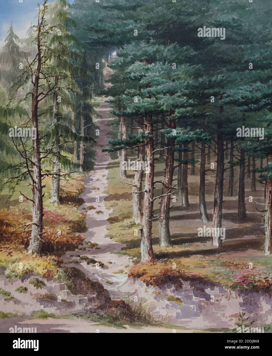 Midlands Forest Rednal Wood, 1850-1880 Elijah Walton, Tree, Watercolour, Topographical ...