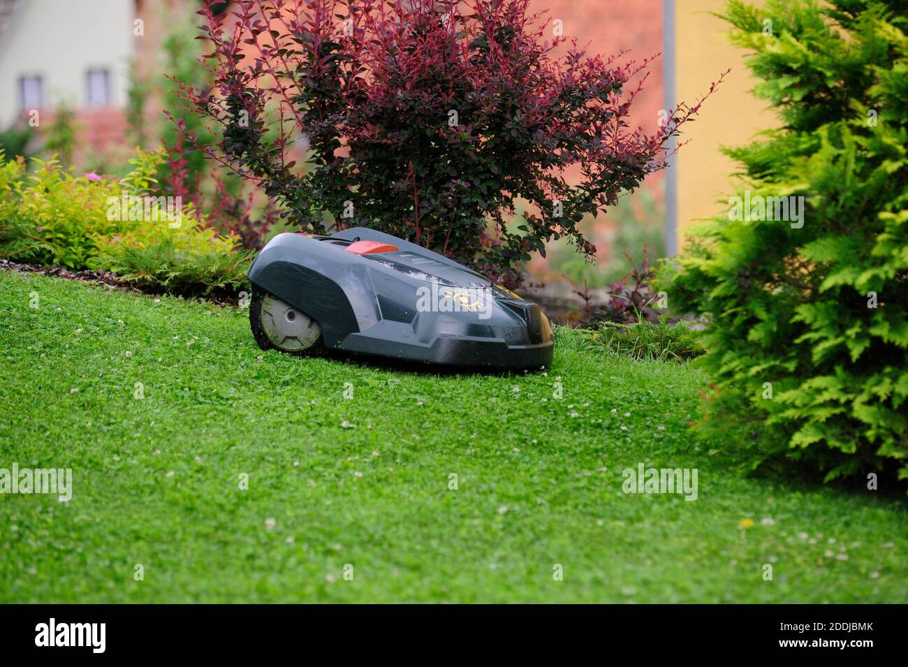 Rendetlen Tisztelettel Érvénytelen green garden robot gräsklippare  Correlate Ugrani monitor