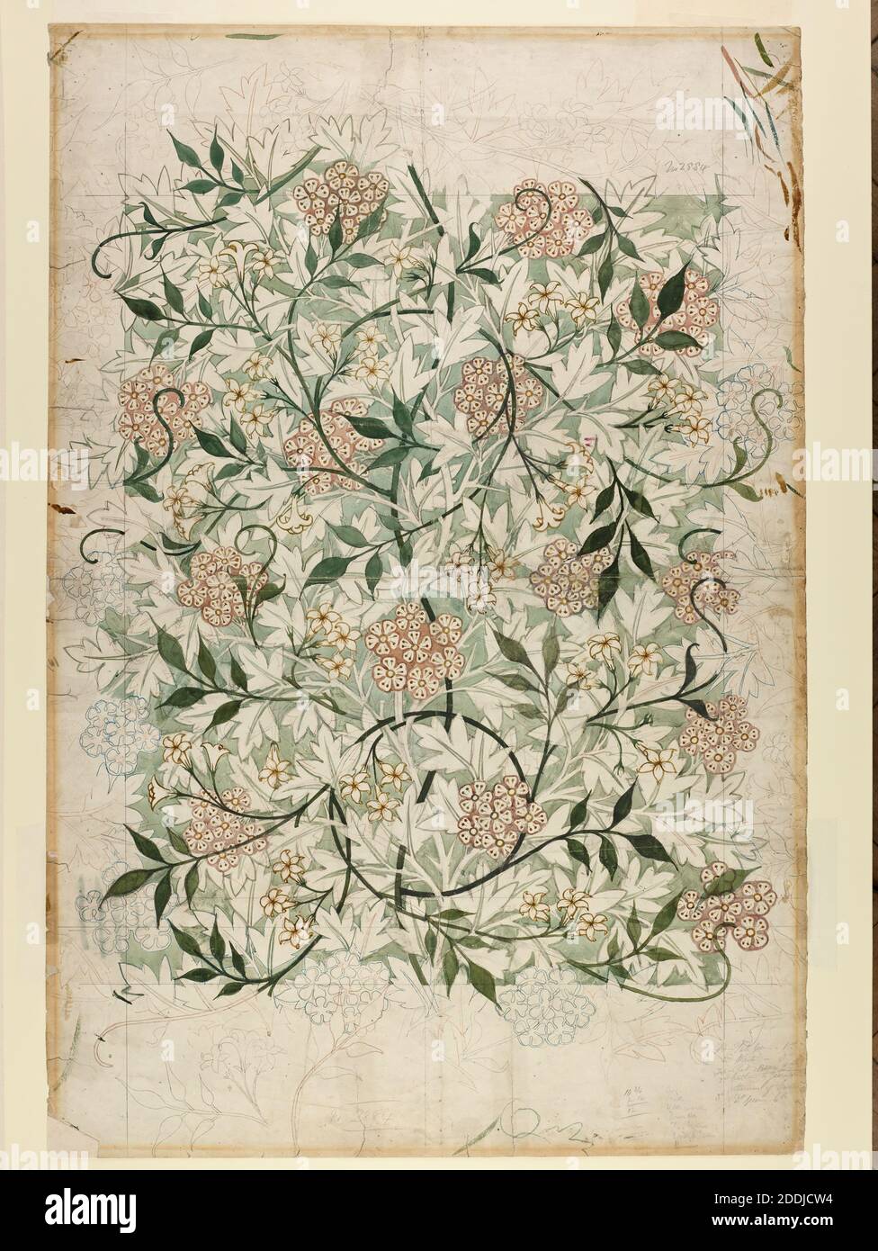Jasmine Wallpaper design with background of hawthorn leaves, blossom 