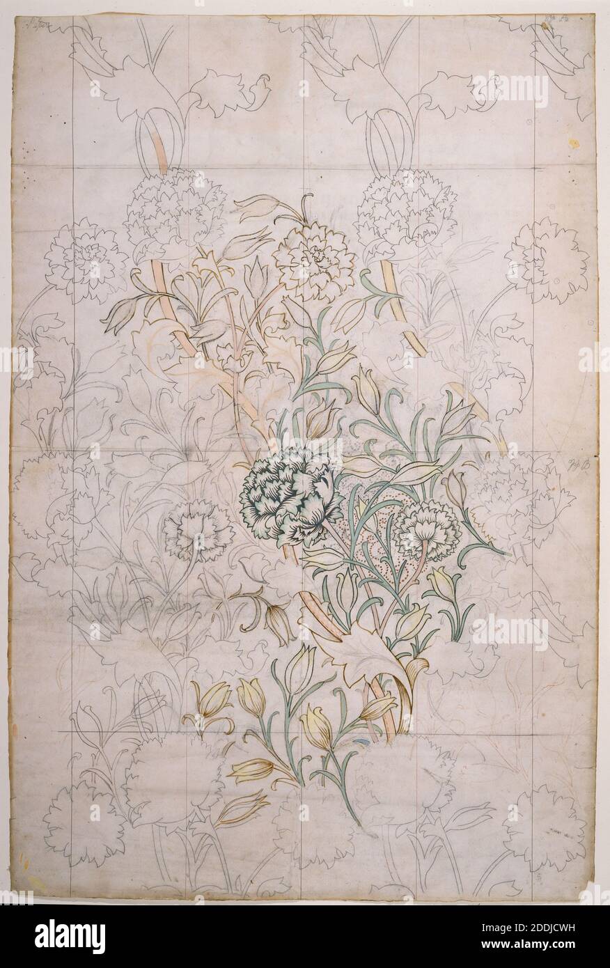 Wild Tulip, 1884 William Morris, Design for wallpaper, Arts and Crafts, Watercolour, Flower, Tulip, Flower, Design, Graphic Design, Pattern Stock Photo