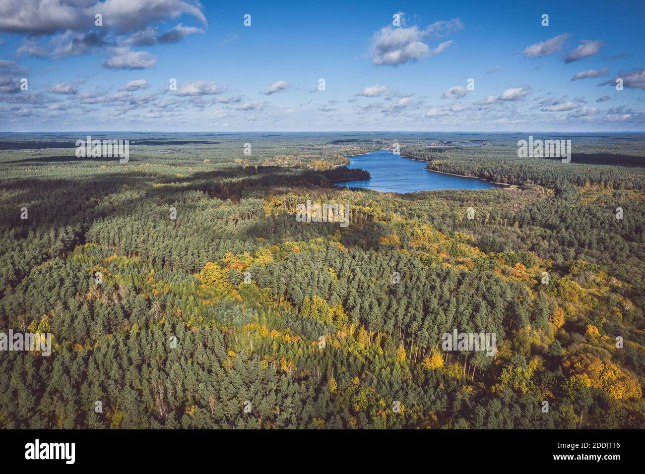 Aerial view of lake, autumn forest under blue cloudy sky Stock Photo ...