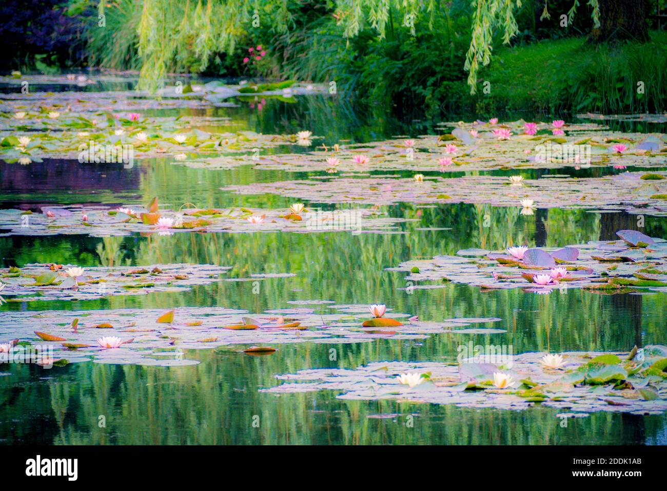 Les Jardins de Monet à Giverny - Monet's Garden - House and water lily  gardens of French artist Claude Monet in Giverny, France Stock Photo - Alamy