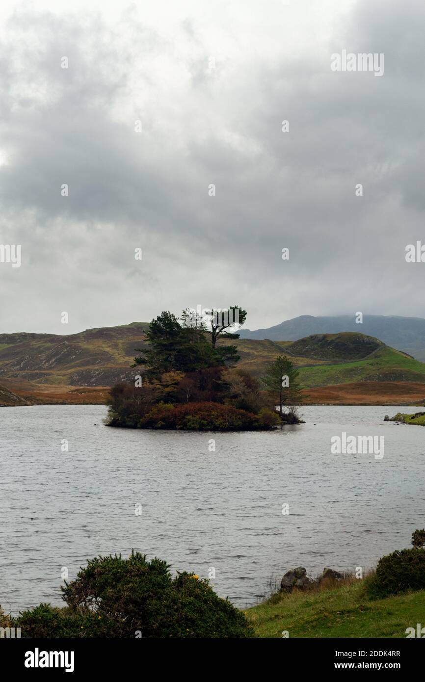 Autumn, Lake Cregennan in Gwynedd, Wales, with the hills behind in the clouds and an island Stock Photo