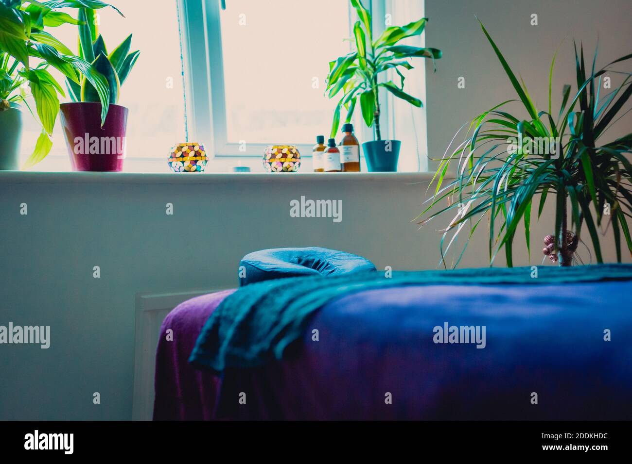 A closeup shot of an empty massage table bed in a spa salon decorated with potted plants Stock Photo