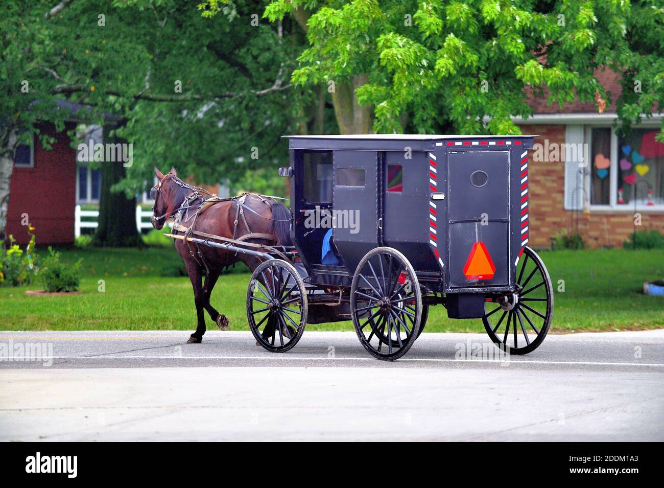 Amish Horse Carriage High Resolution Stock Photography and Images Alamy