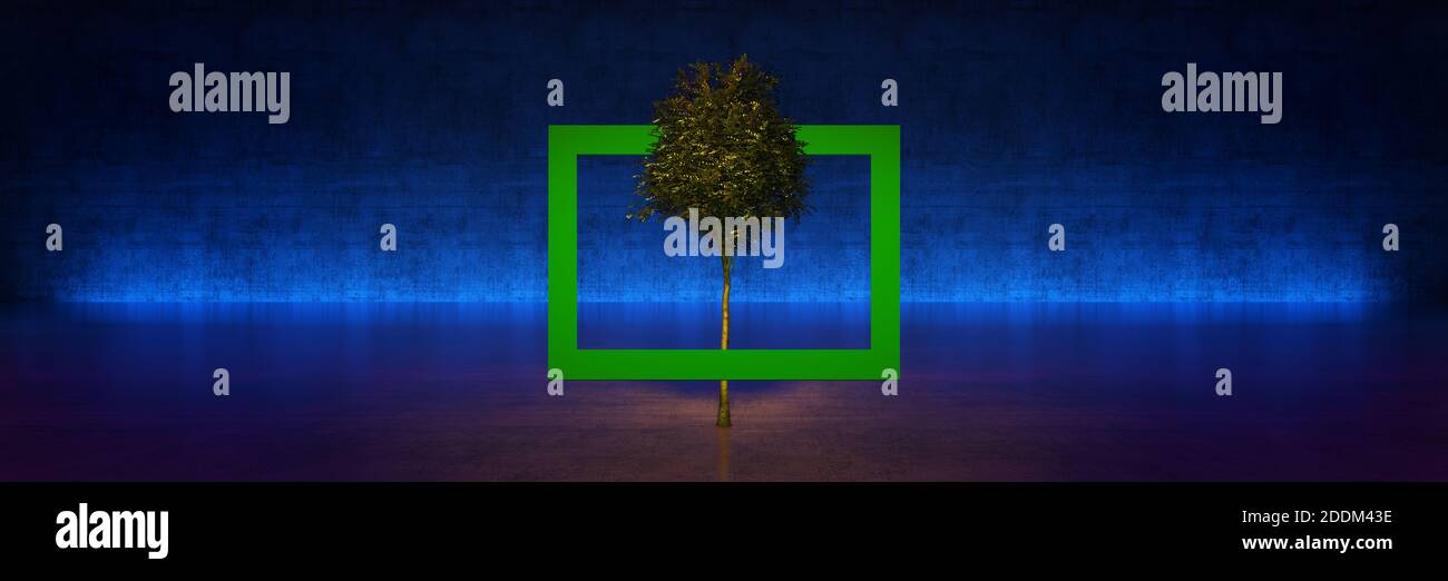 tree with frame on black background. 3d rendering Stock Photo