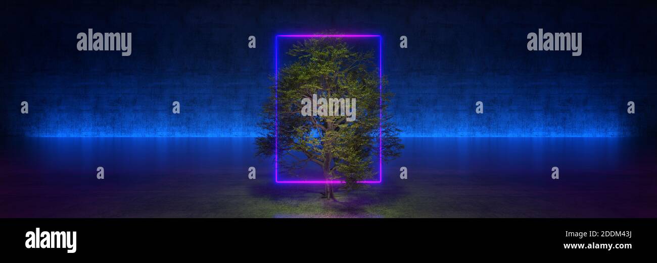 tree with frame on black background. 3d rendering Stock Photo