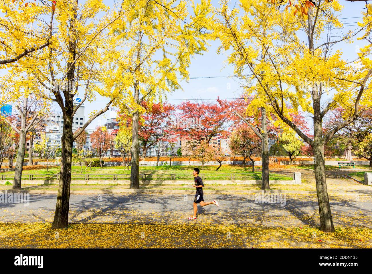 Autumn season in Osaka, Japan Stock Photo