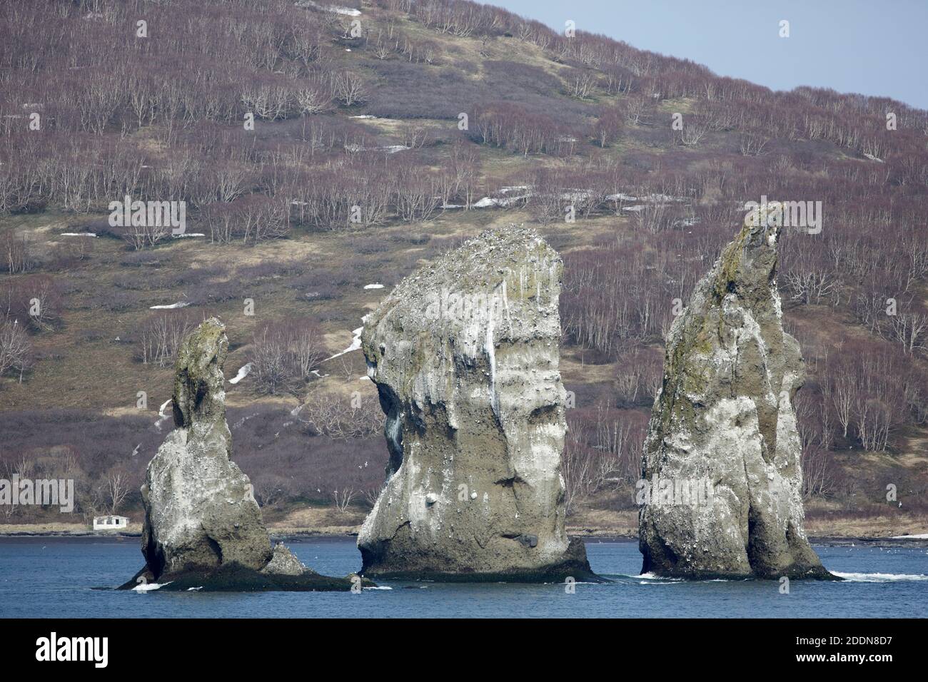 'Three Brothers' rock stacks, Avacha Bay, Petropavlosk-Kamchatsky, Russia 27 May 2012 Stock Photo