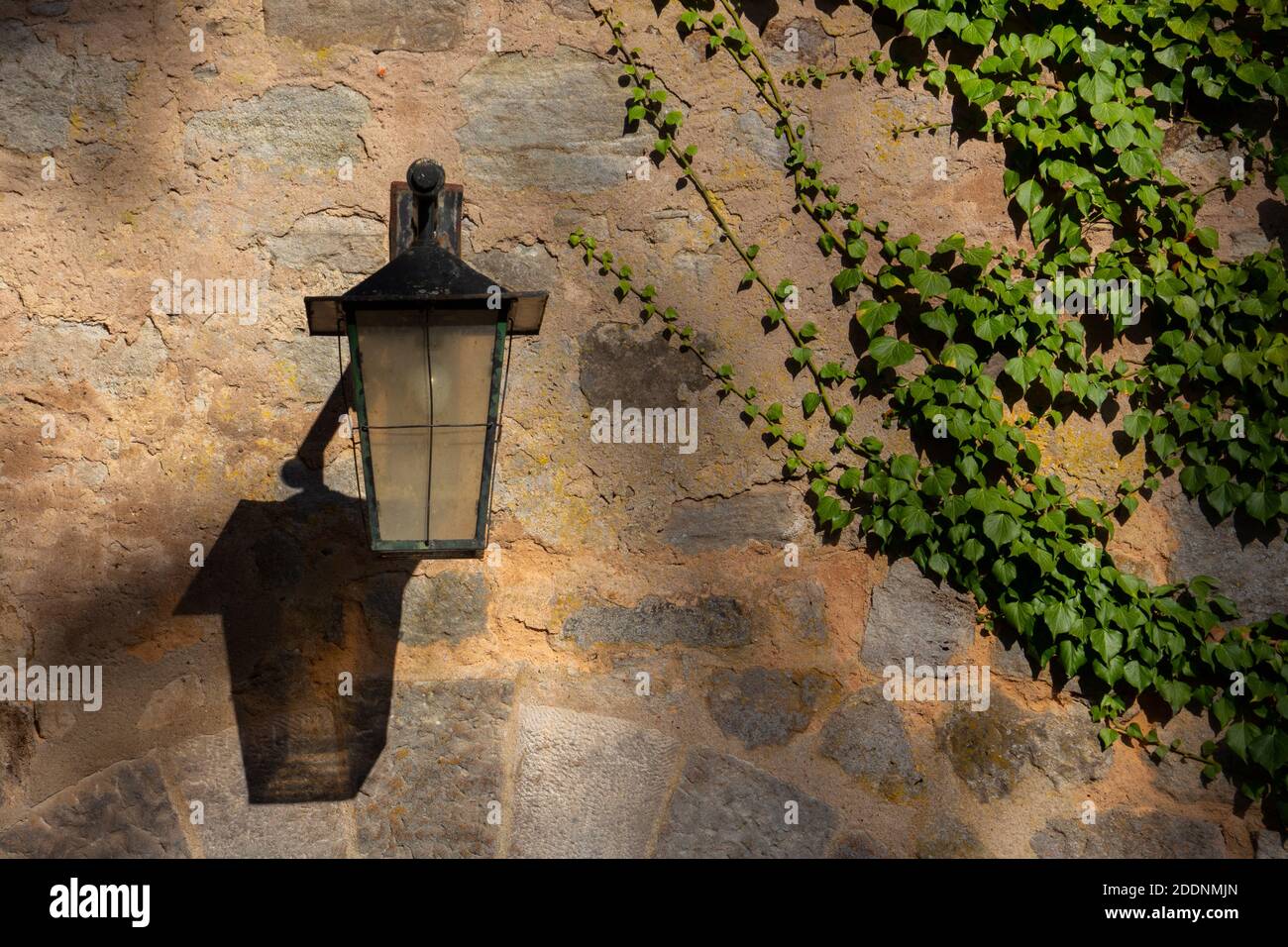 Old vintage forged lantern on a natural stone wall covered with ivy Stock Photo