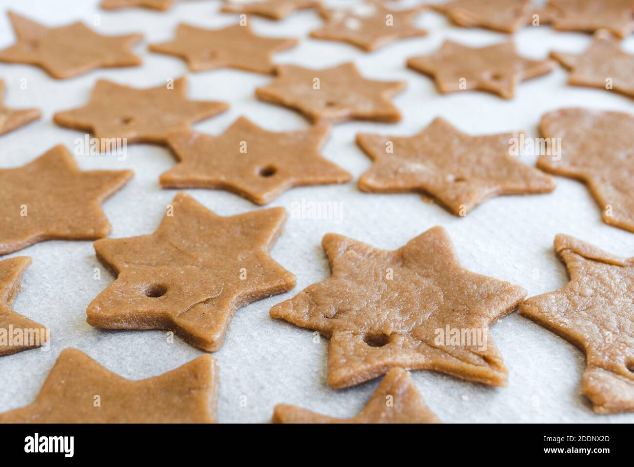 homemade gingerbread cookie dough cut into stars prepared to be baked on parchment paper Stock Photo