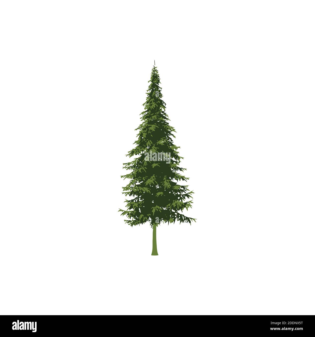 pine tree design illustration Stock Vector