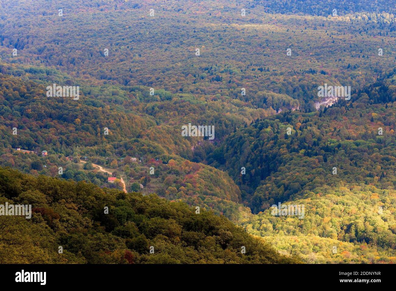 Mountain landscape. Gorge and mountains covered by forest. Stock Photo