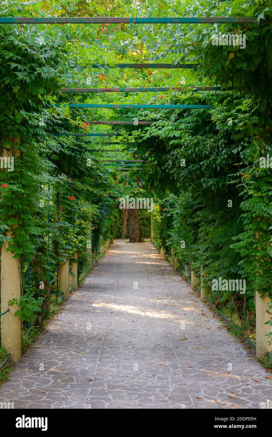 Tropical alley hi-res stock photography and images - Alamy