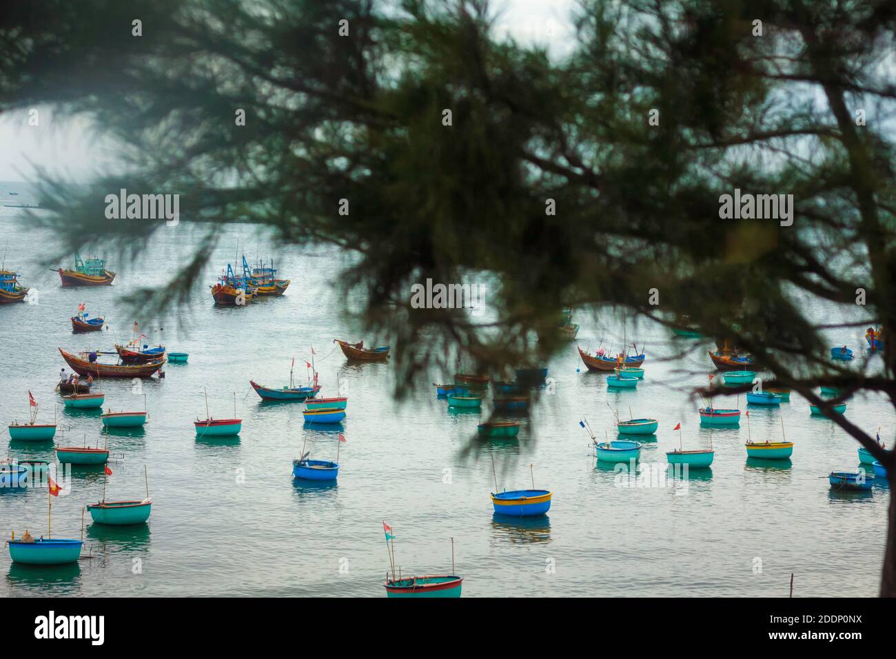 Fishing boats at muine beach. Stock Photo