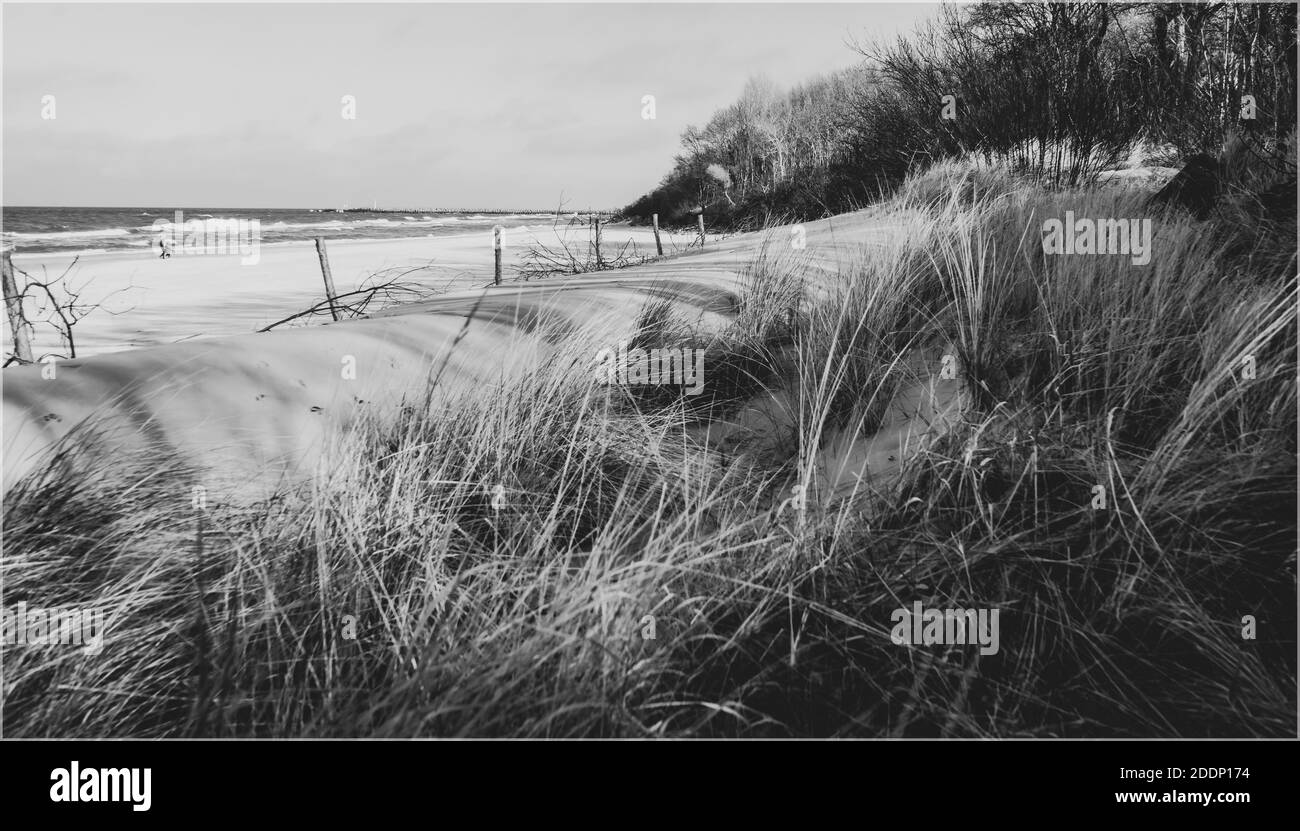 Sand dune on the beach in black and white Stock Photo - Alamy