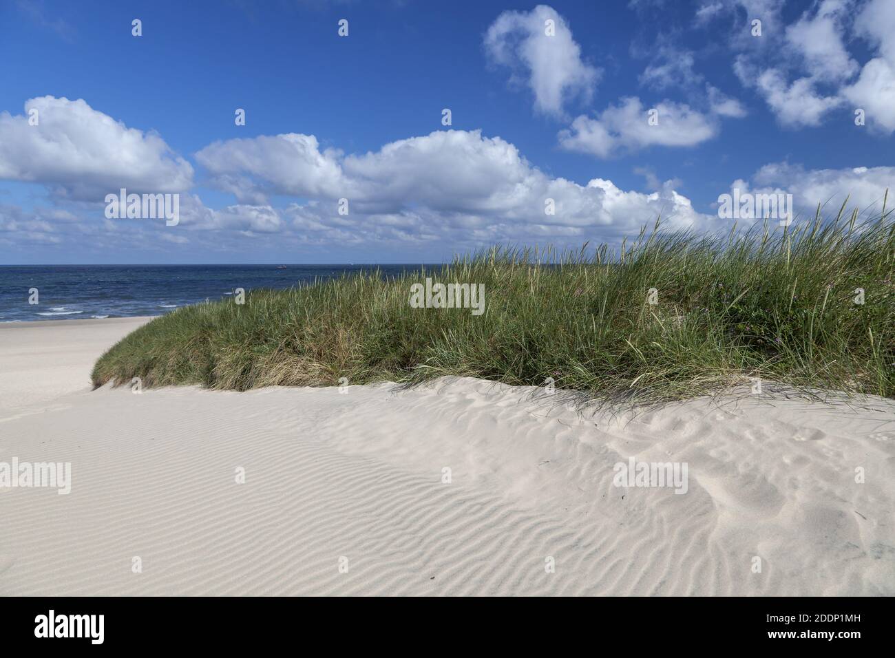 geography / travel, Germany, Schleswig-Holstein, isle Sylt, dune on beach of Kampen, Additional-Rights-Clearance-Info-Not-Available Stock Photo