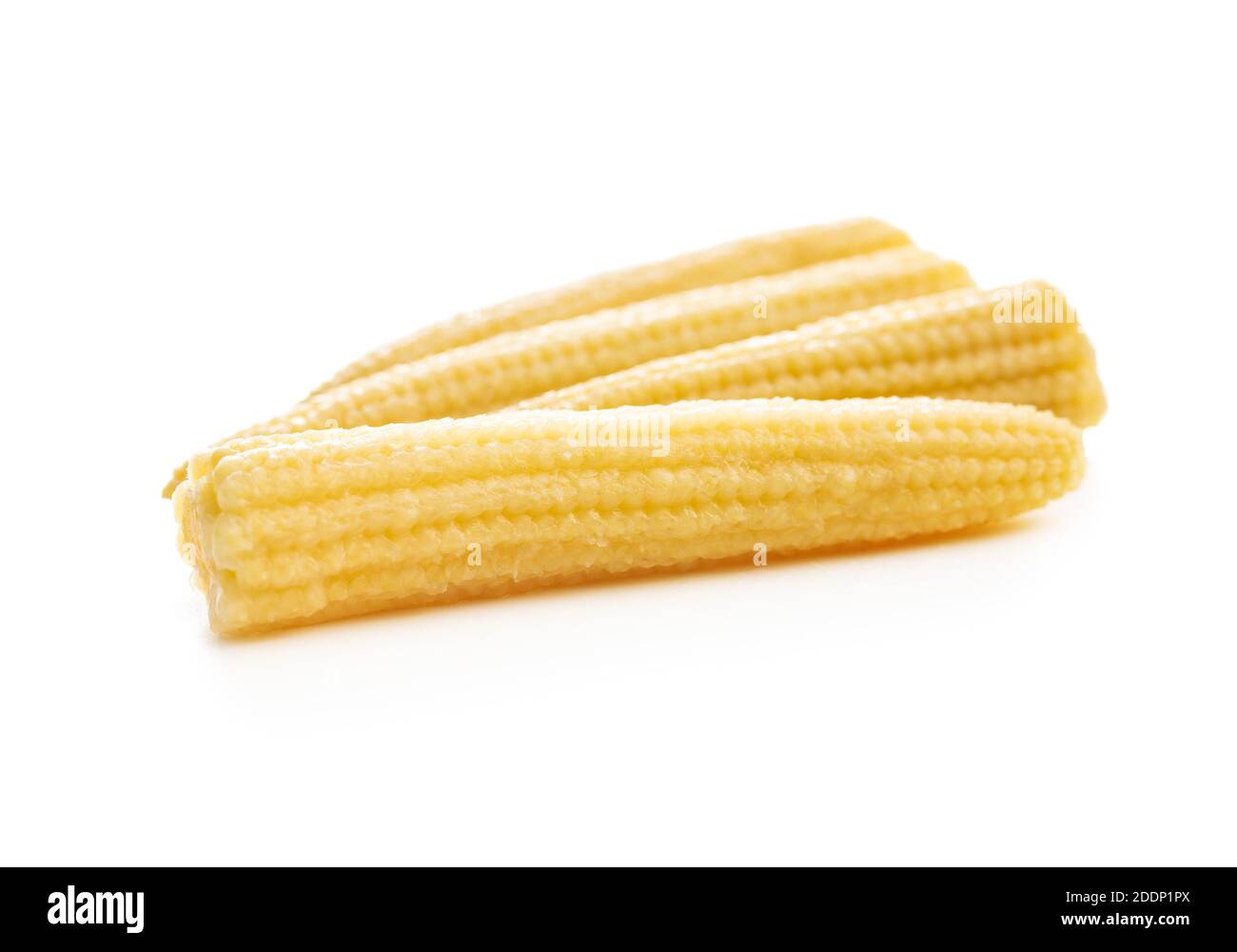 Pickled young baby corn cobs isolated on white background. Stock Photo