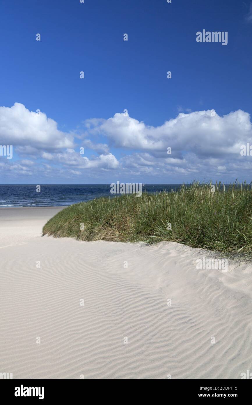 geography / travel, Germany, Schleswig-Holstein, isle Sylt, dune on beach of Kampen, Additional-Rights-Clearance-Info-Not-Available Stock Photo