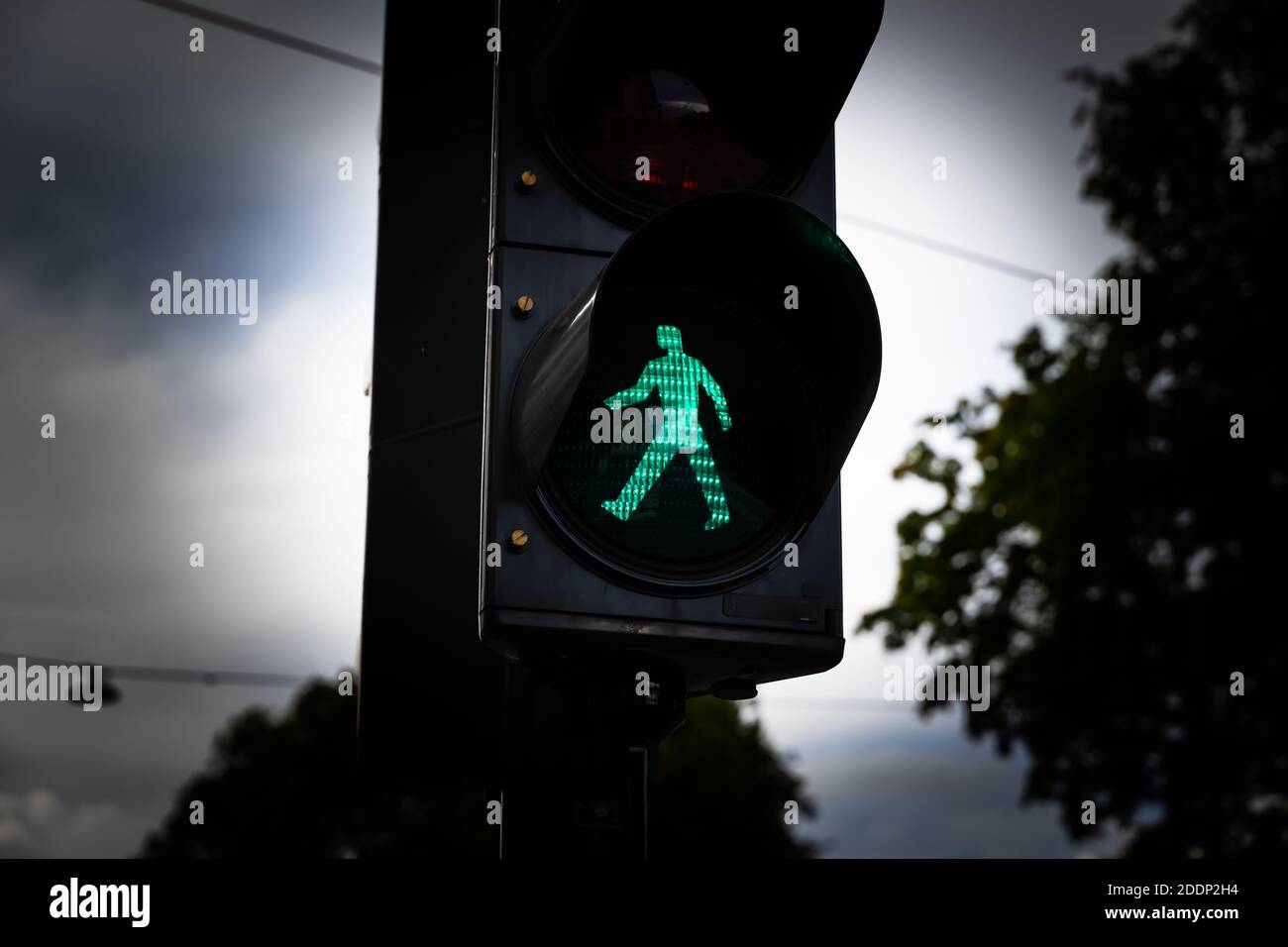 Green man walking traffic light at a city crosswalk. . High quality photo Stock Photo