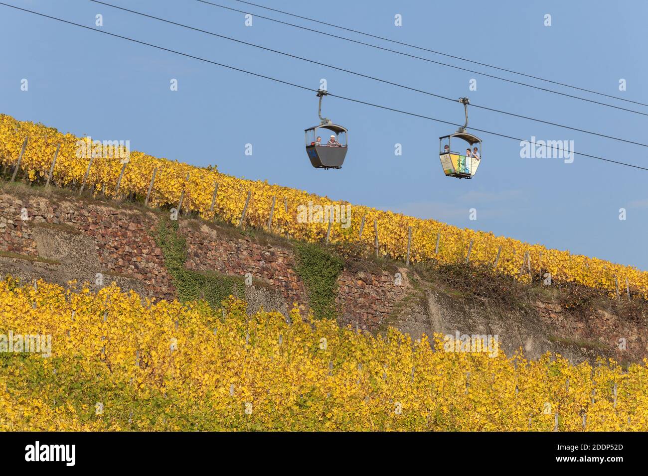geography / travel, Germany, Hesse, Ruedesheim on the Rhine, gondola