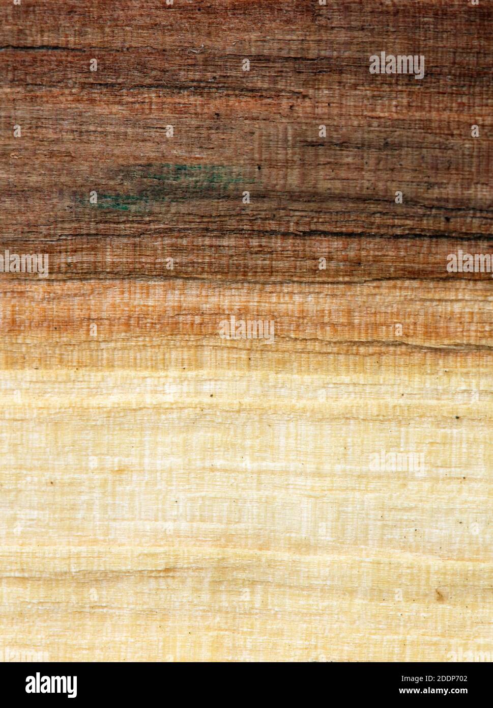 Wood board with light and dark lines Stock Photo