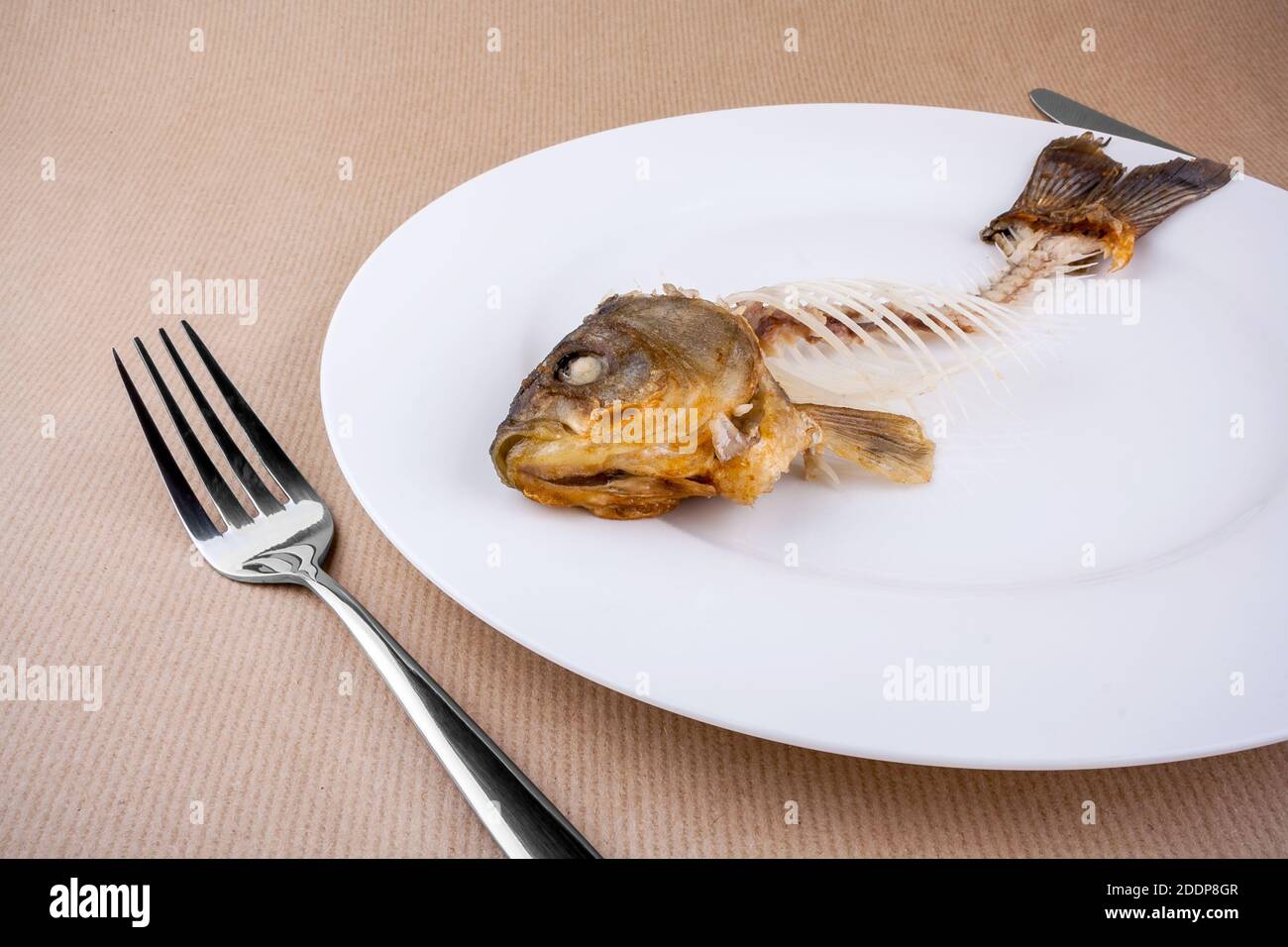 Complete bone of whole fish on plate, abstract, top view Stock Photo
