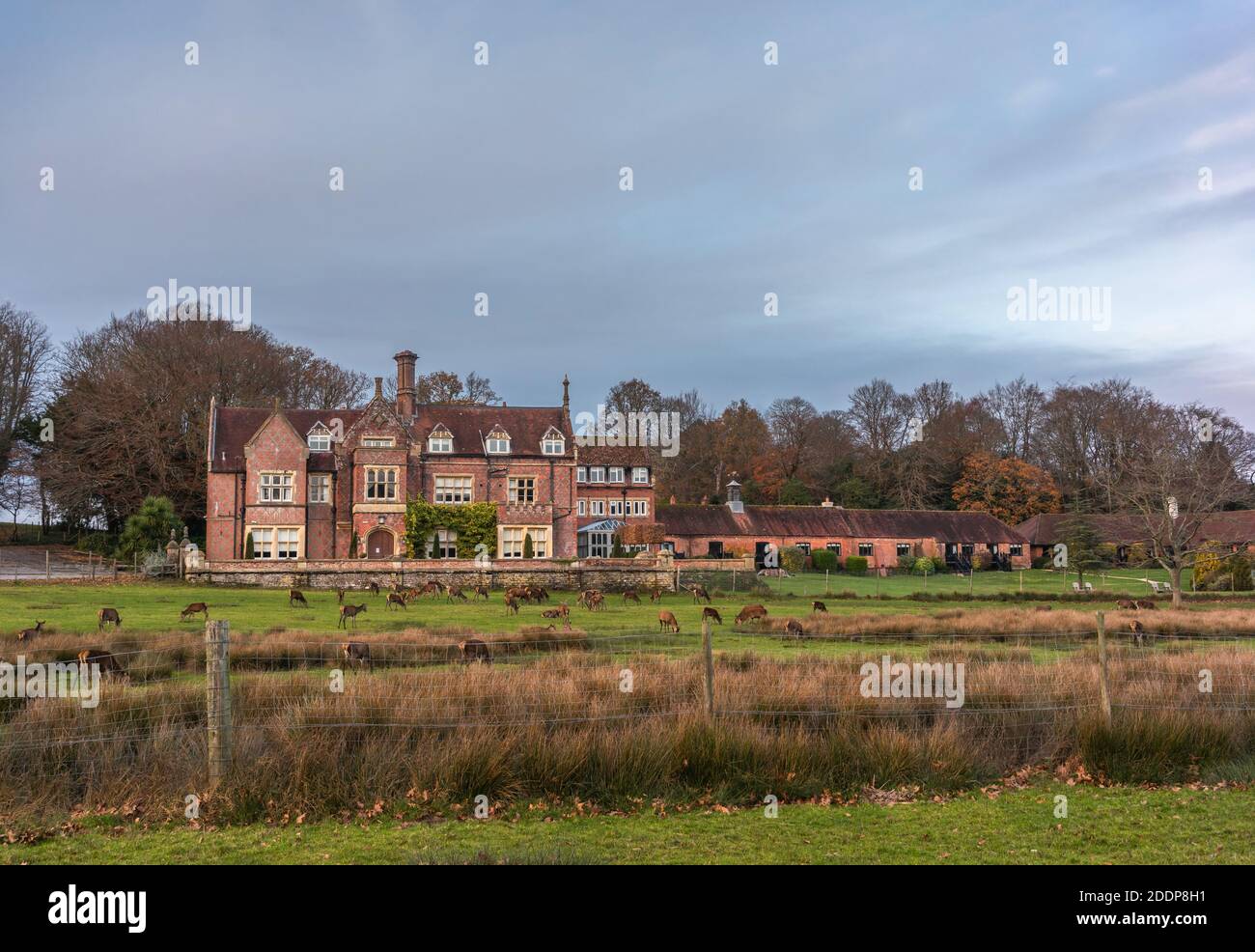 Burley Manor - a restaurant and hotel in Burley village New Forest National Park with deers grazing outside, Hampshire, England, UK Stock Photo