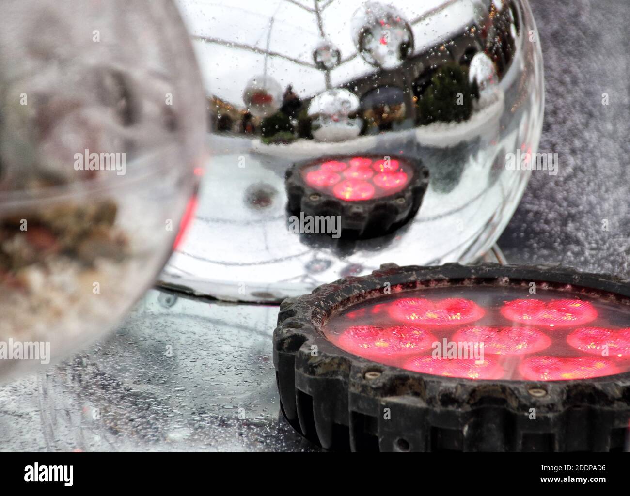 Detail of the Terrarium Tree during daylight.King's Cross, London's