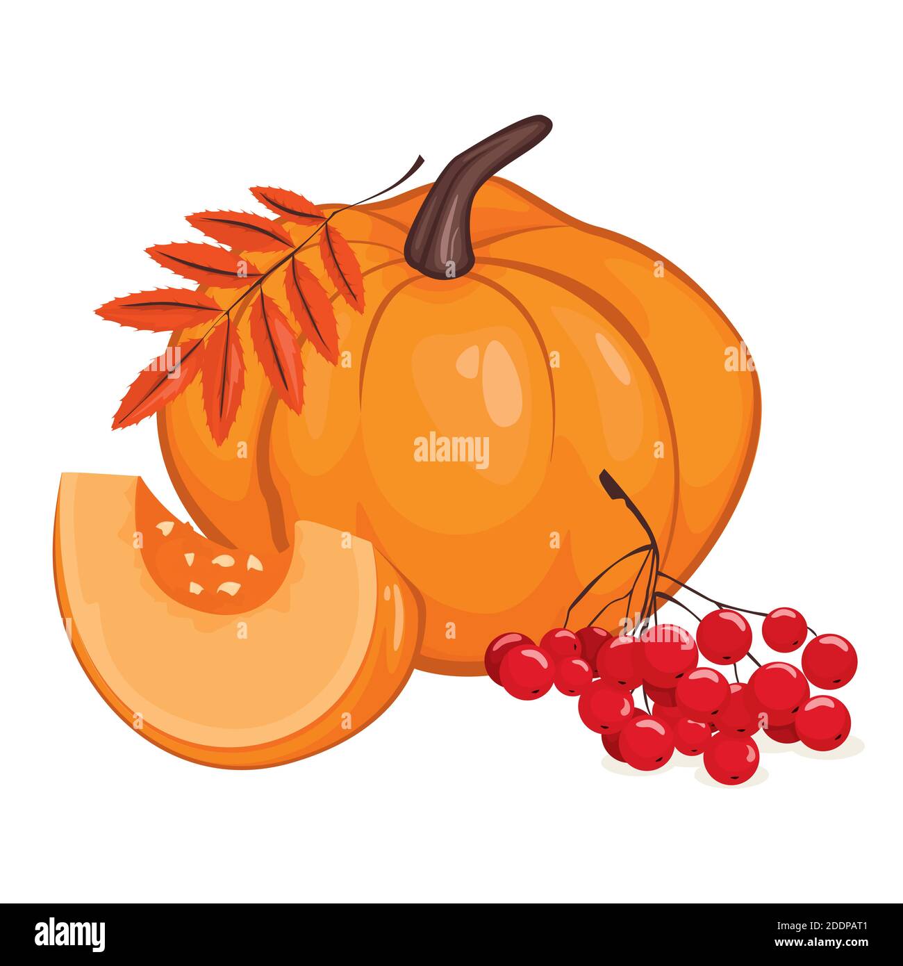Pumpkin and a lot of red rowan berries with orange autumn leaves ...