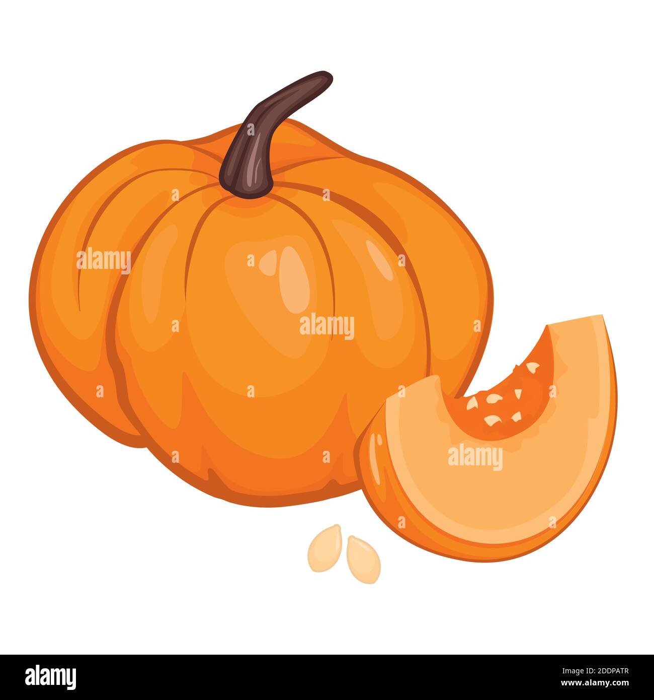 Pumpkin, pumpkin pieces, pumpkin seeds. Autumn background, vector, white background. Stock Vector