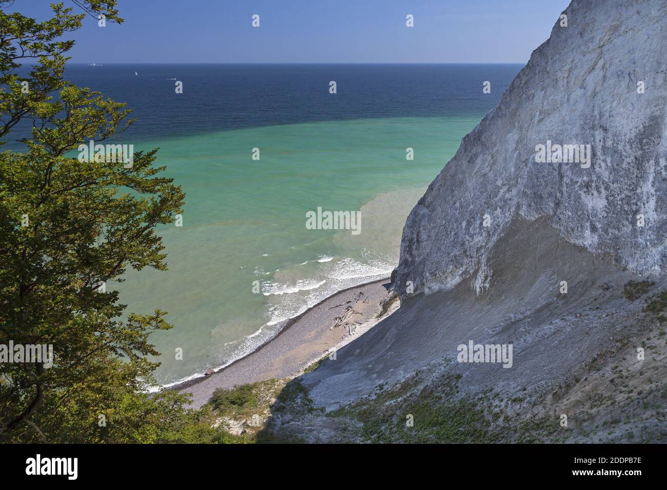 geography / travel, Denmark, Zealand, isle Mon, chalk cliff near Cliffs of Mon, Mons Klint on the isle, Additional-Rights-Clearance-Info-Not-Available Stock Photo