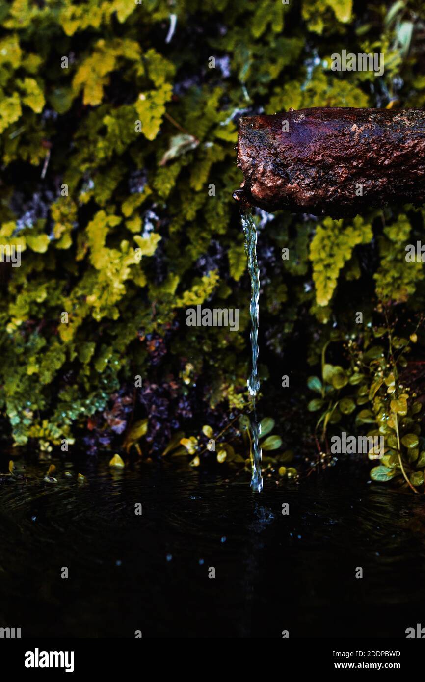 Fountain in nature hires stock photography and images Alamy