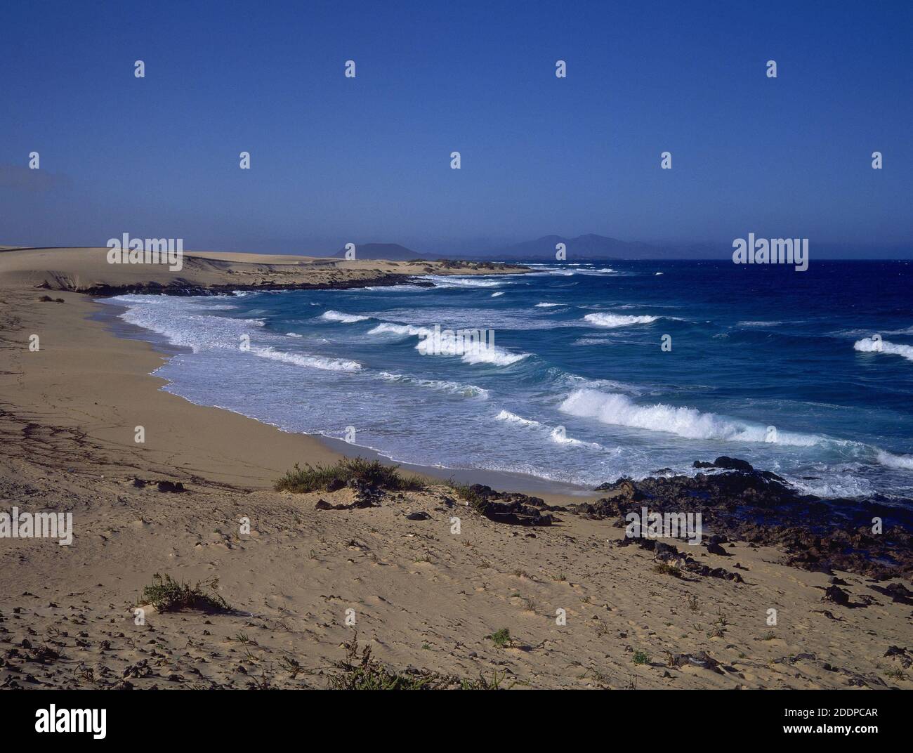 PLAYA. Location EXTERIOR. Corralejo. FUERTEVENTURA. SPAIN Stock Photo