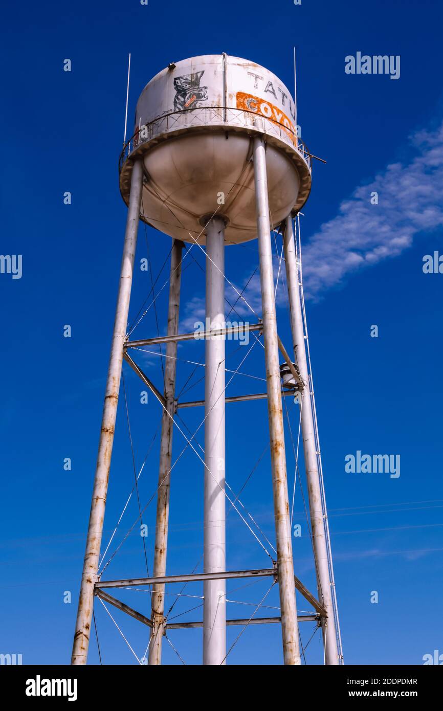 Tatum coyotes logo hires stock photography and images Alamy