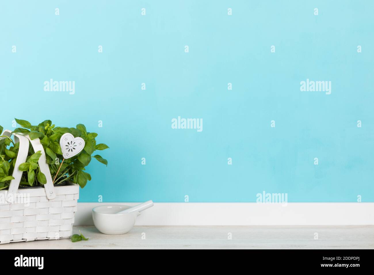 Kitchen background with basil plan in white basket with heart tagt and mortar. Copy space on turquoise wall Stock Photo