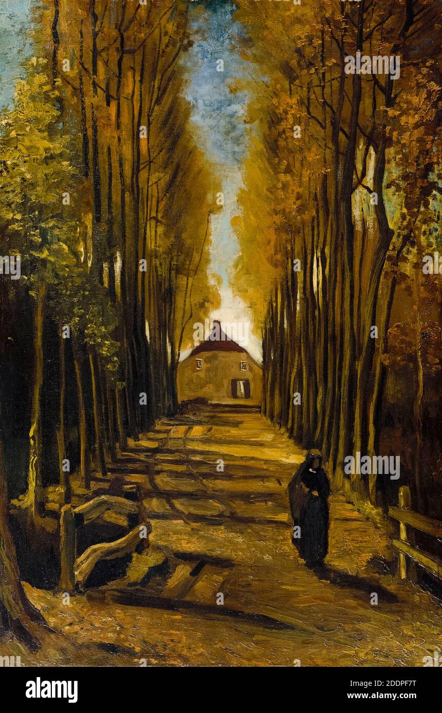 Avenue of Poplars in Autumn, landscape painting by Vincent van Gogh, 1884 Stock Photo