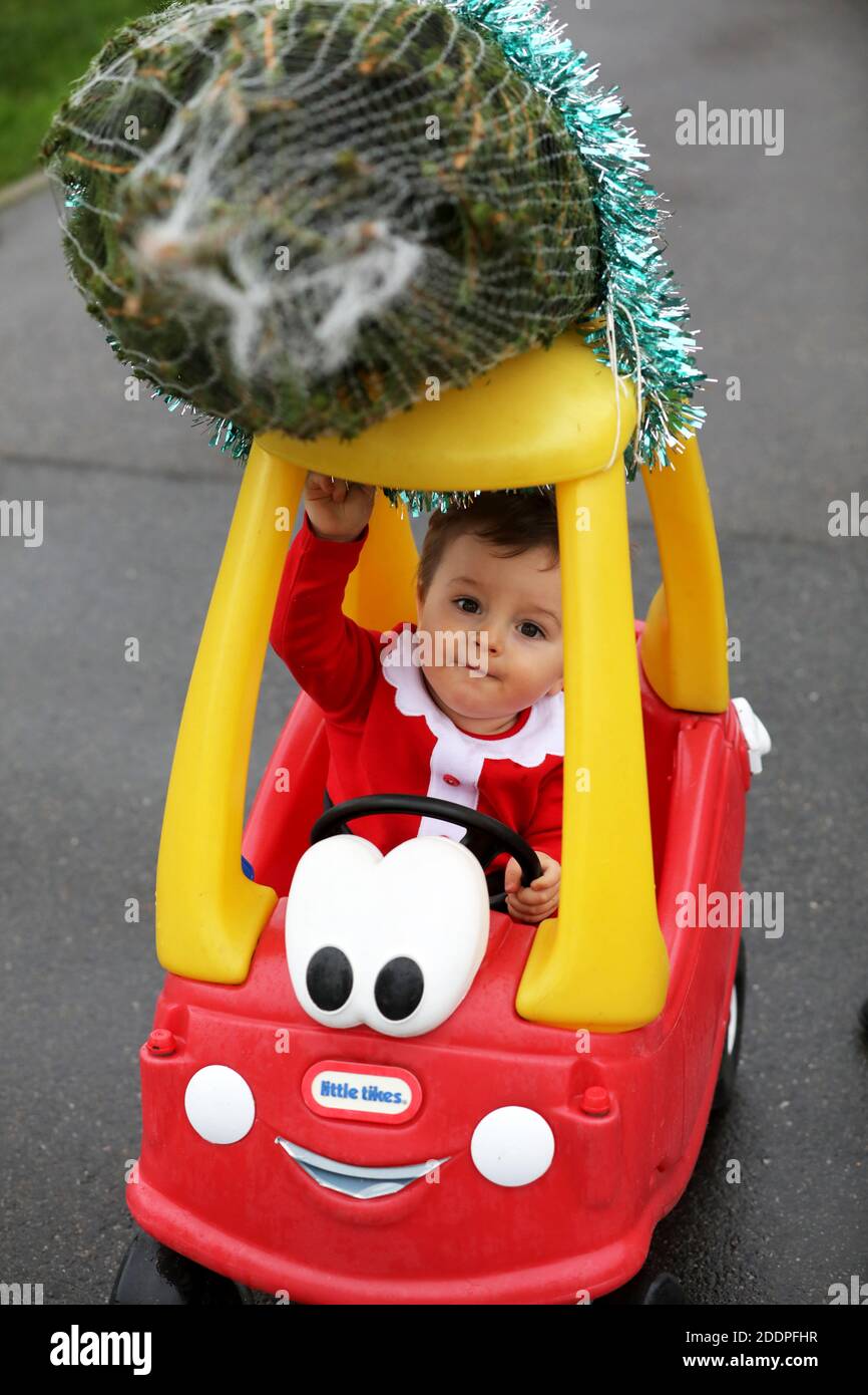 Cute one-year-old boy called Oscar pictured dressed as Father Christmas and delivering a small Christmas tree on his classic red Little Tikes car, UK. Stock Photo
