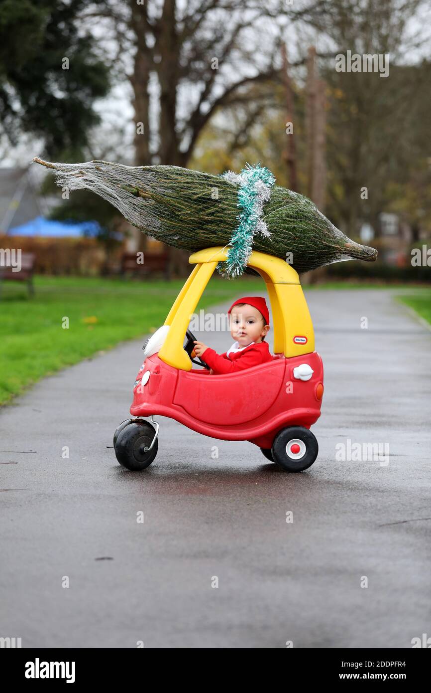 Cute one-year-old boy called Oscar pictured dressed as Father Christmas and delivering a small Christmas tree on his classic red Little Tikes car, UK. Stock Photo