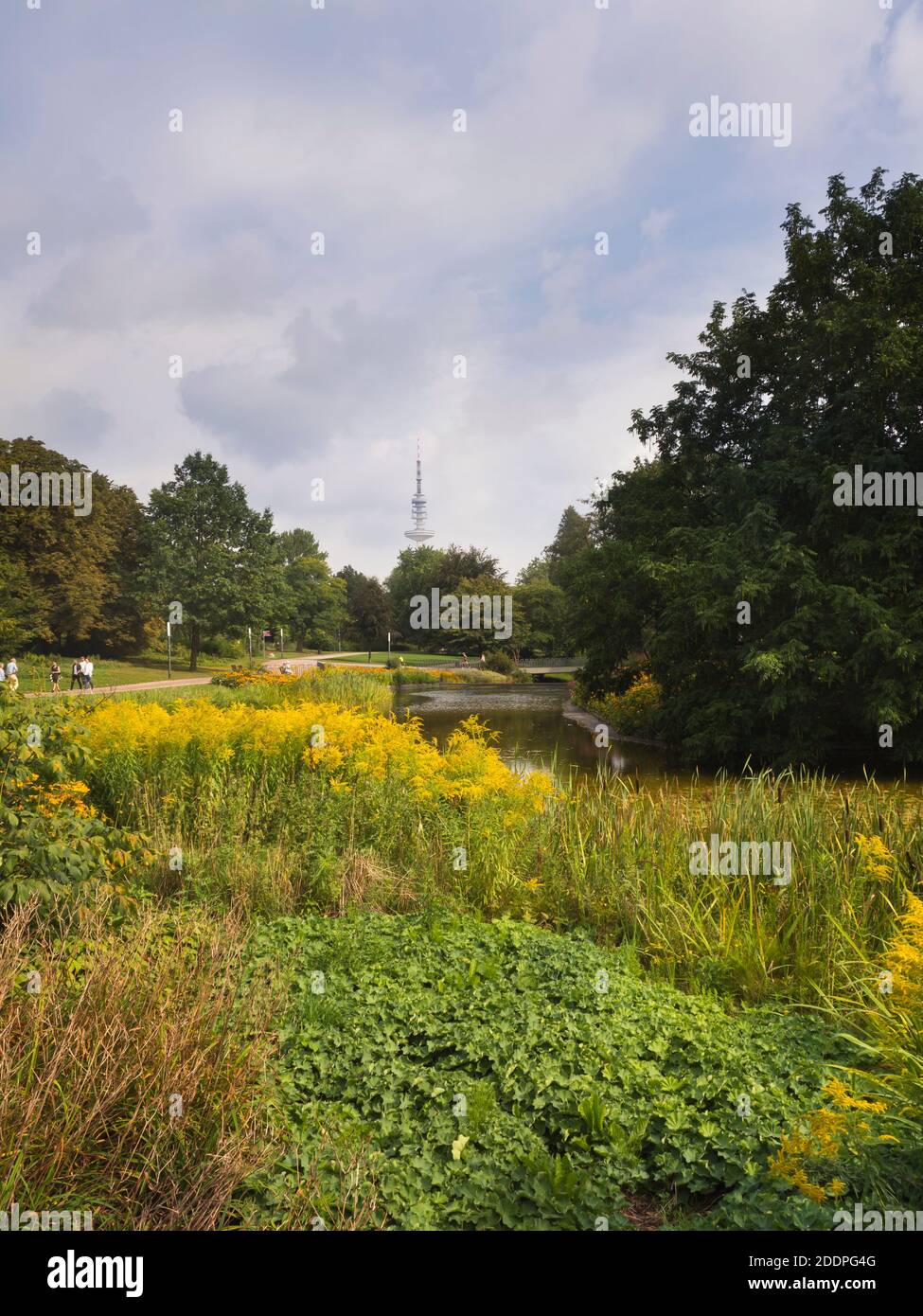 Große Wallanlagen park and recreation area in Hamburg Germany, lush vegetation flowers and water feature, Fernsehturm in the distance Stock Photo