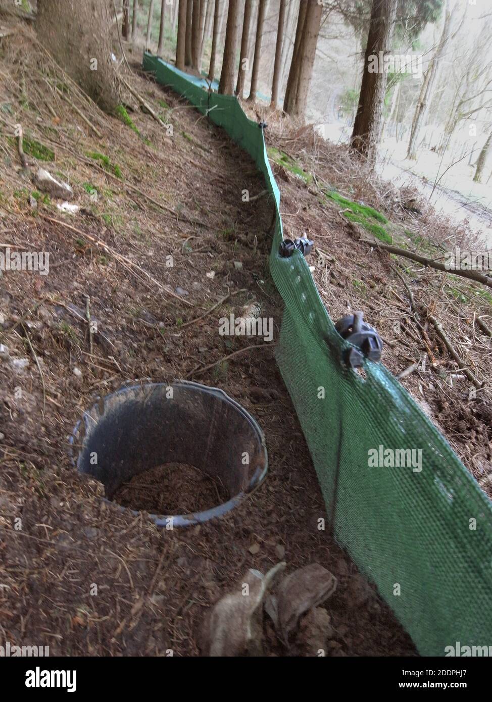 toad fence with bucket, Germany Stock Photo