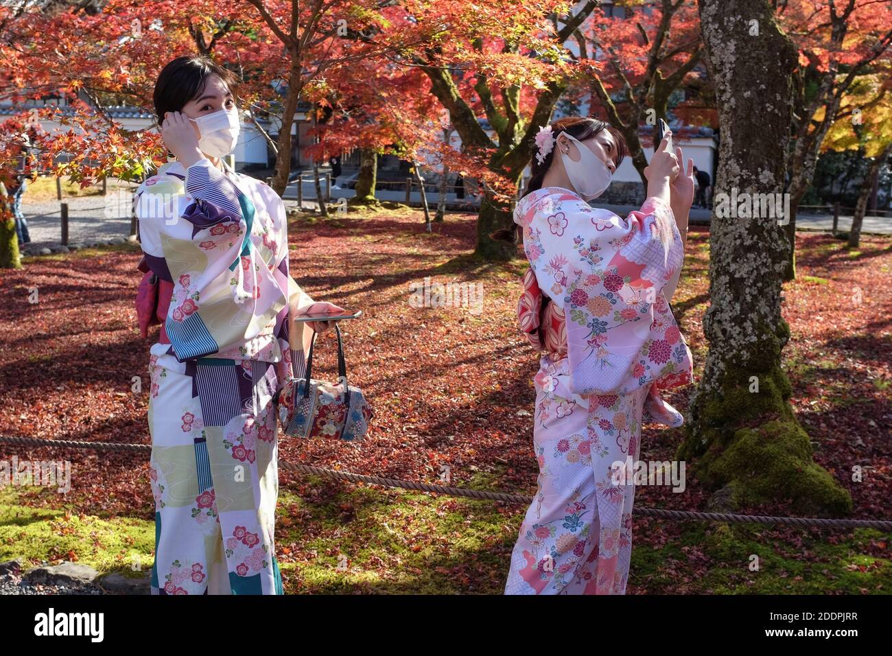Two women wearing traditional Japanese kimono in Kyoto, Japan. As the photo was taken in November 2020, they're also wearing face masks. Stock Photo
