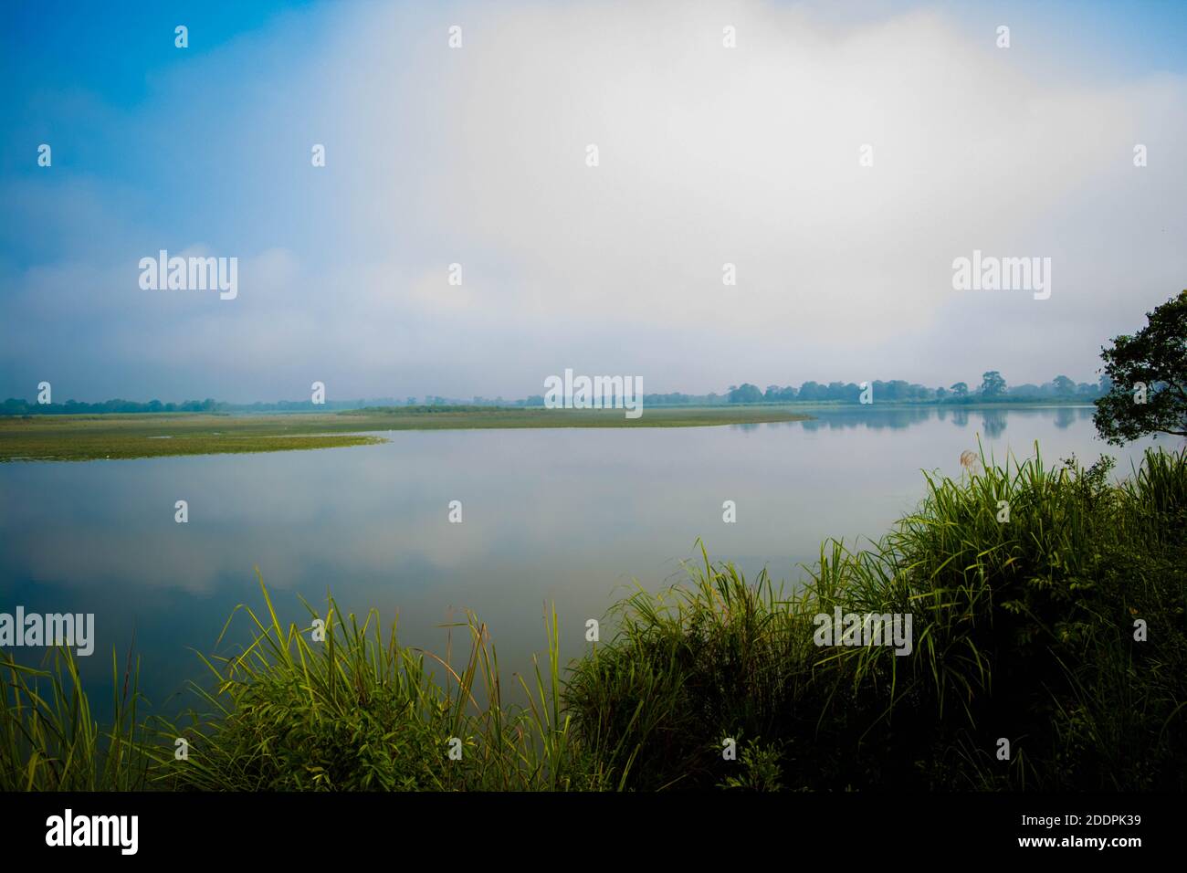 Landscape of lake and river in the morning time with fog at Kaziranga national park, Assam, India. Stock Photo