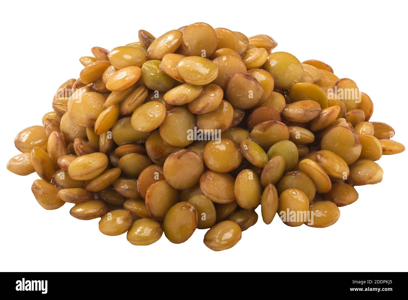 Pile of cooked lentils (Lens culinaris seeds) isolated Stock Photo