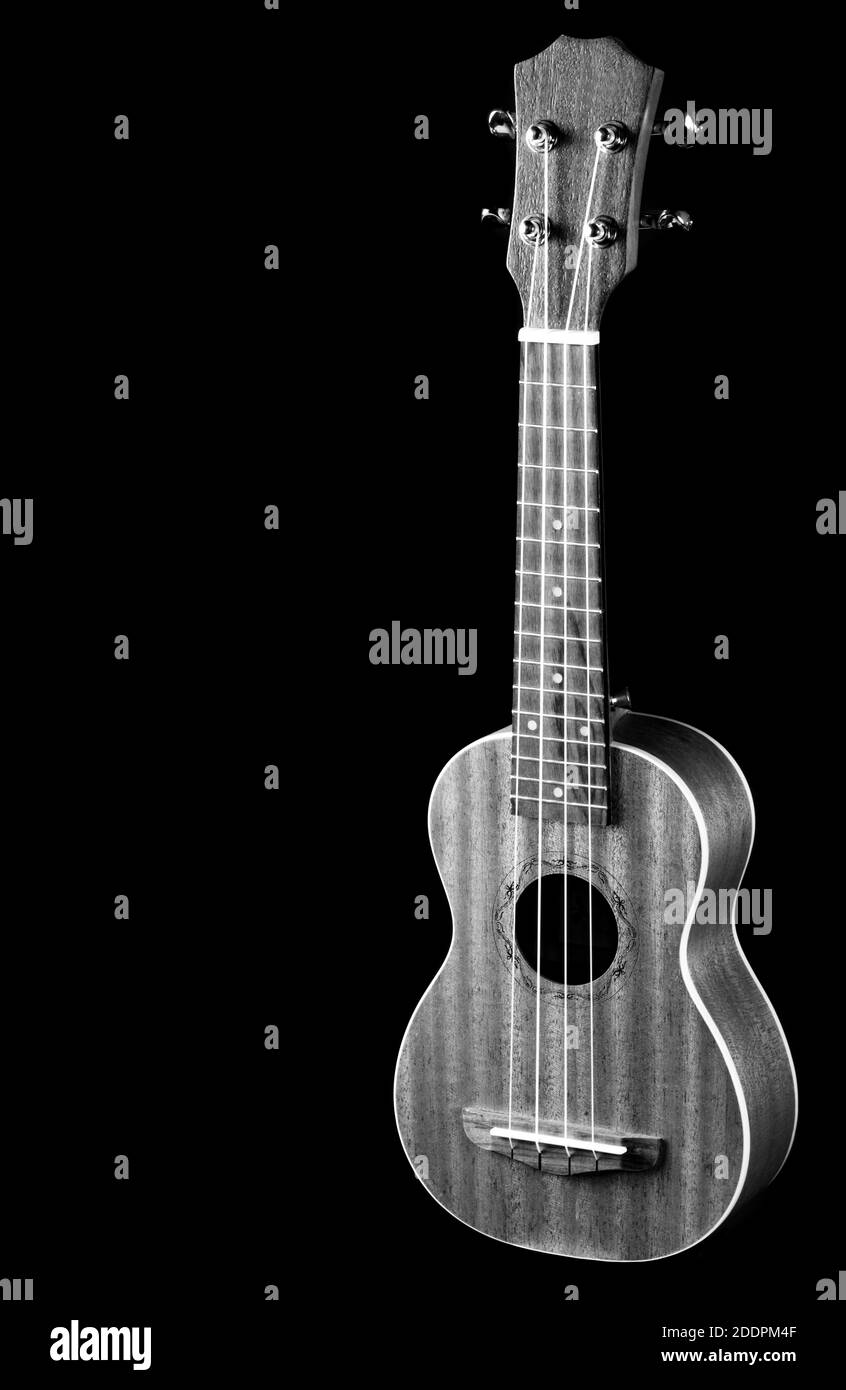 Guitar ukulele perspective view close up in black white Stock Photo