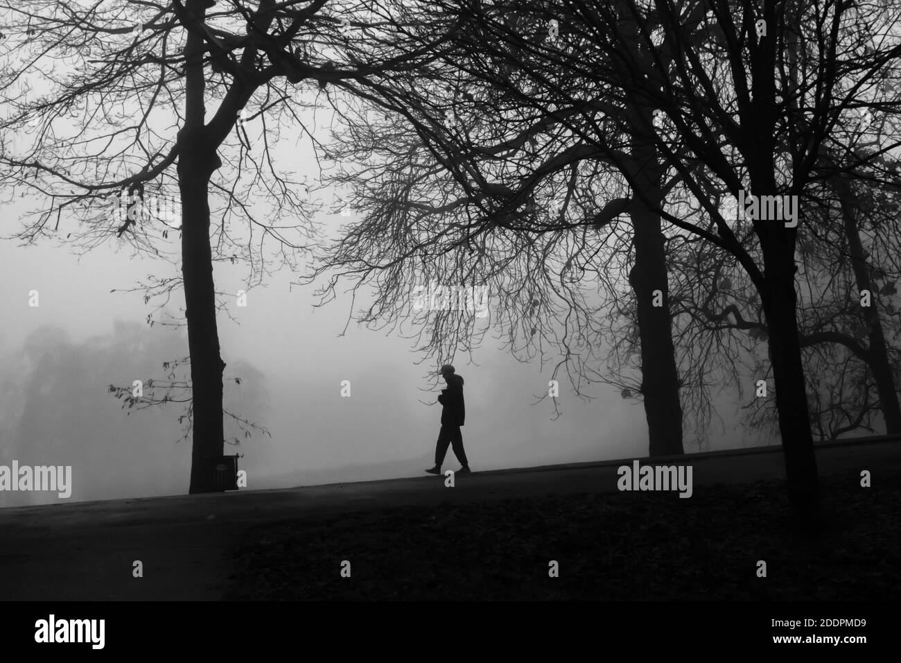 Glasgow, Scotland, UK. 26th November, 2020. UK Weather: Silhouettes in Queen's Park on a foggy morning. Credit: Skully/Alamy Live News Stock Photo