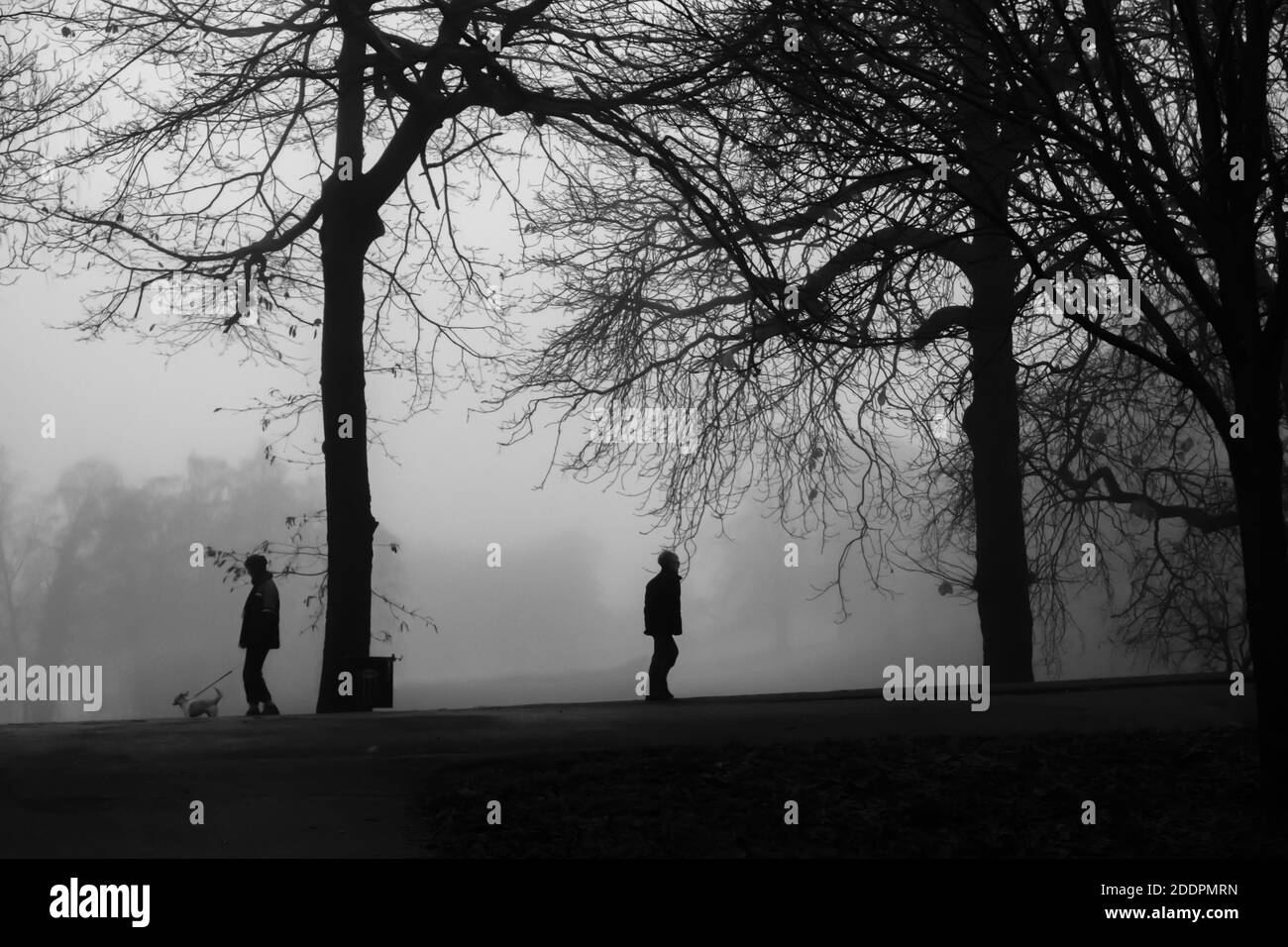 Glasgow, Scotland, UK. 26th November, 2020. UK Weather: Silhouettes in Queen's Park on a foggy morning. Credit: Skully/Alamy Live News Stock Photo