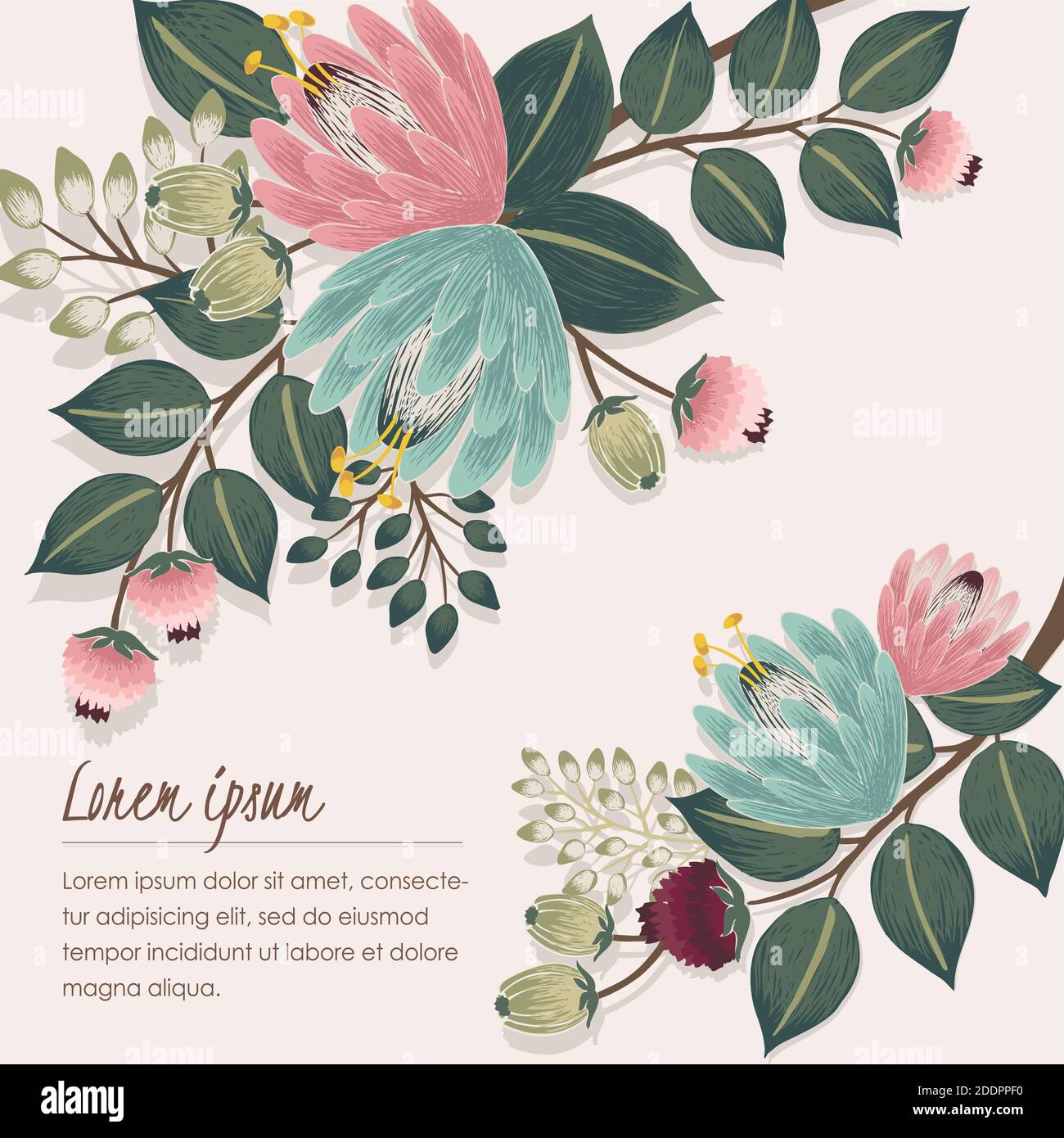 Vector illustration of a floral frame in spring. Design for Wedding ...