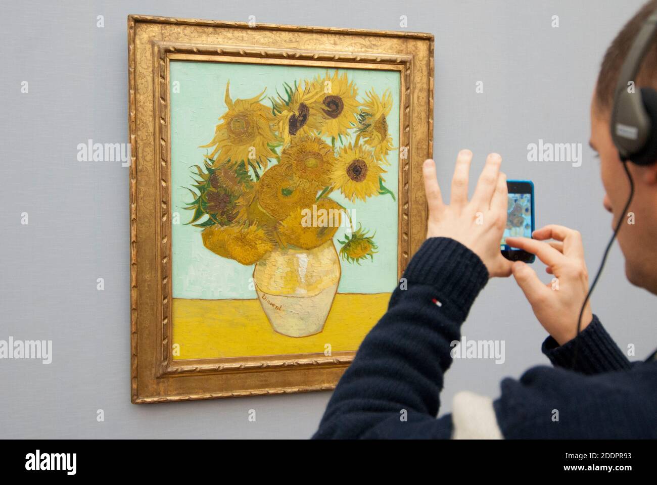 Sunflower by Van Gogh, Neue Pinokothek of Munich Stock Photo Alamy