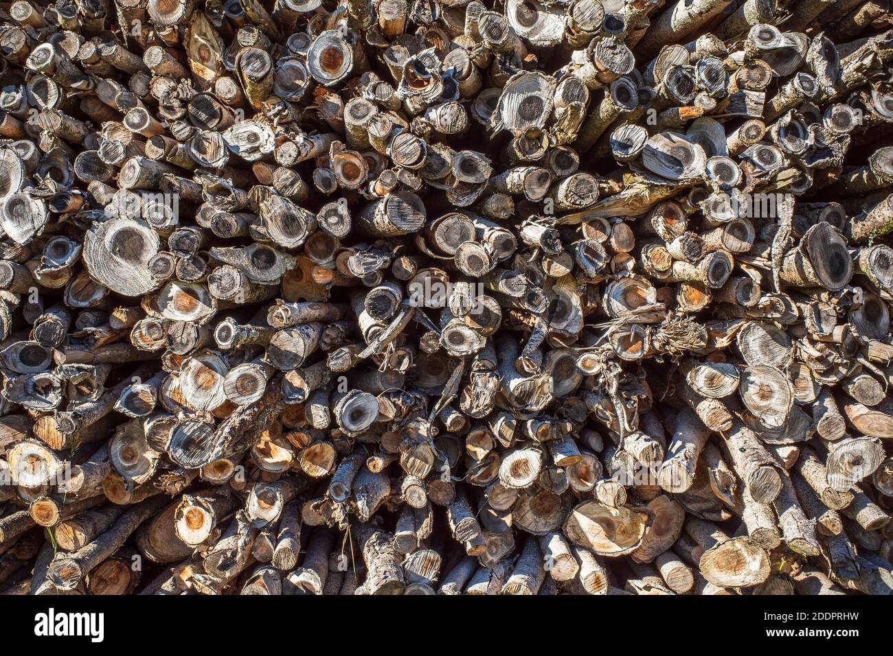stack of many small firewoods Stock Photo